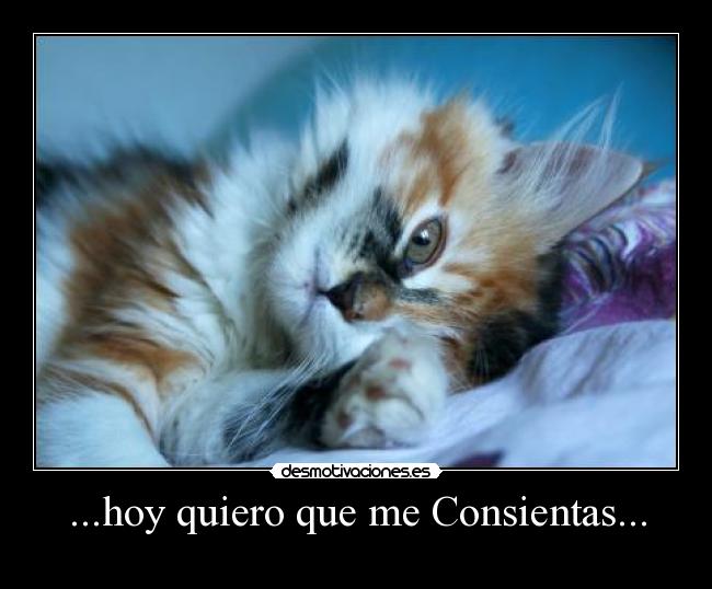 ...hoy quiero que me Consientas... - 
