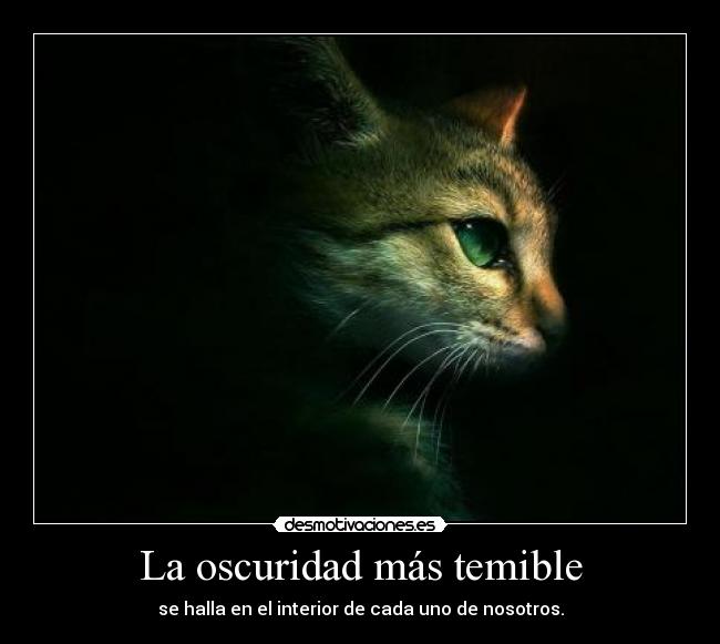 carteles nuestros demonios interiores que nos impiden hacer cosas buenas nos hunden nnn desmotivaciones