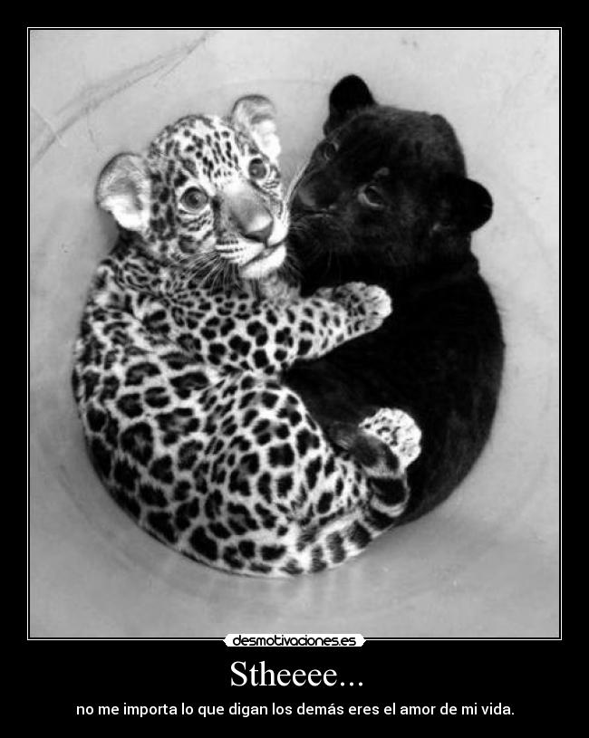 Stheeee... - no me importa lo que digan los demás eres el amor de mi vida.
