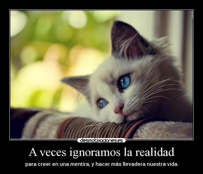 A veces ignoramos la realidad - para creer en una mentira, y hacer más llevadera nuestra vida.