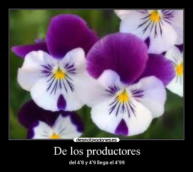 De los productores - del 48 y 49 llega el 499