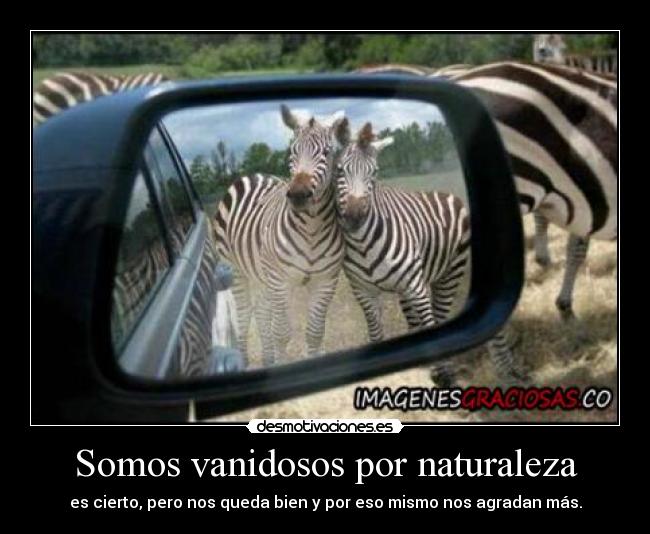 Somos vanidosos por naturaleza - es cierto, pero nos queda bien y por eso mismo nos agradan más.