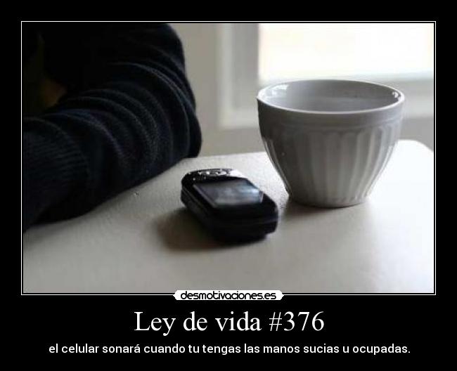 Ley de vida #376 -