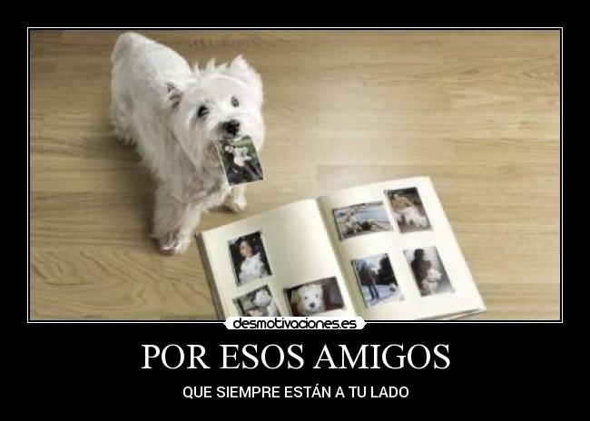 POR ESOS AMIGOS - QUE SIEMPRE ESTÁN A TU LADO