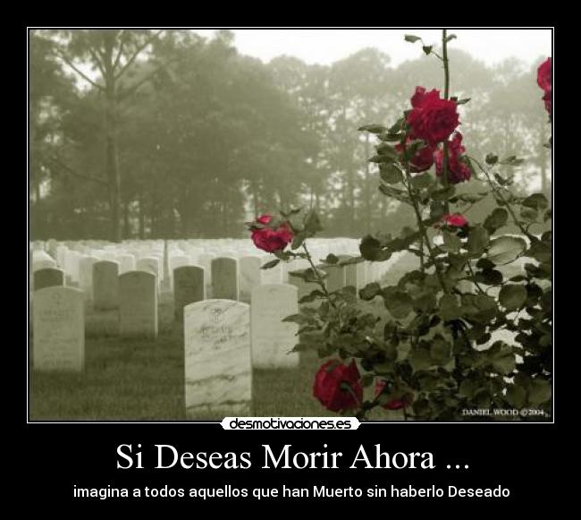 Si Deseas Morir Ahora ... - 