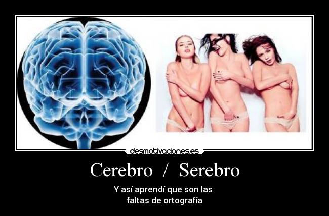 Cerebro  /  Serebro - 