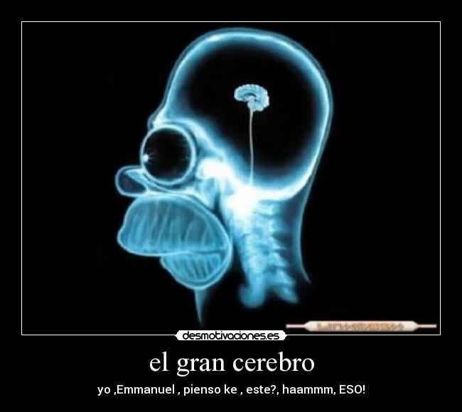el gran cerebro -