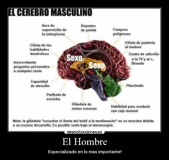 El Hombre - Especializado en lo mas importante!