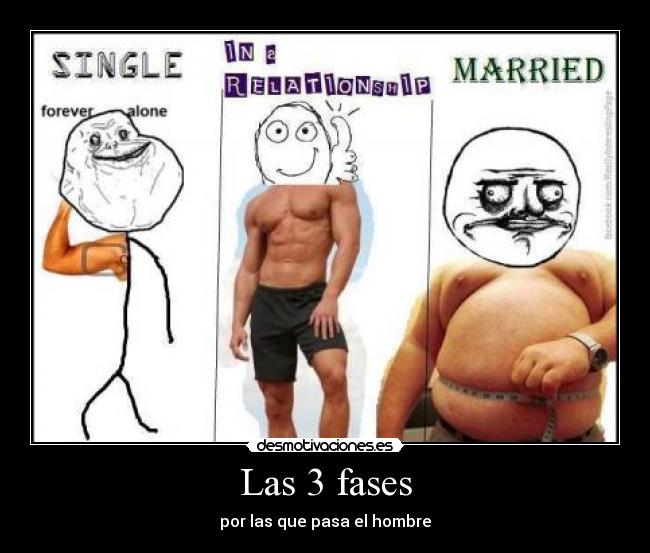 Las 3 fases - 