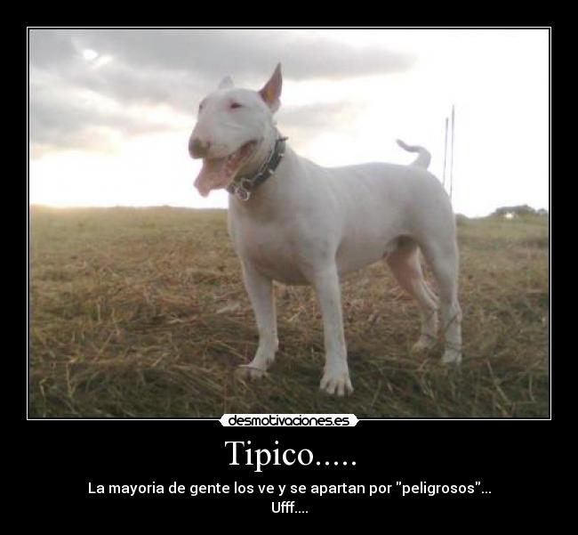 carteles 8794 desmotivaciones