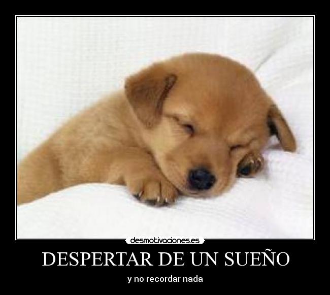 DESPERTAR DE UN SUEÑO - y no recordar nada