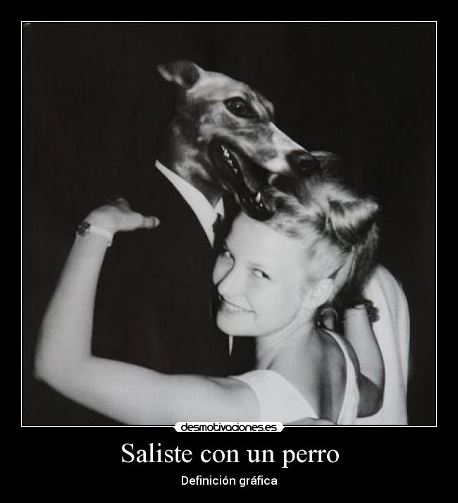 Saliste con un perro -