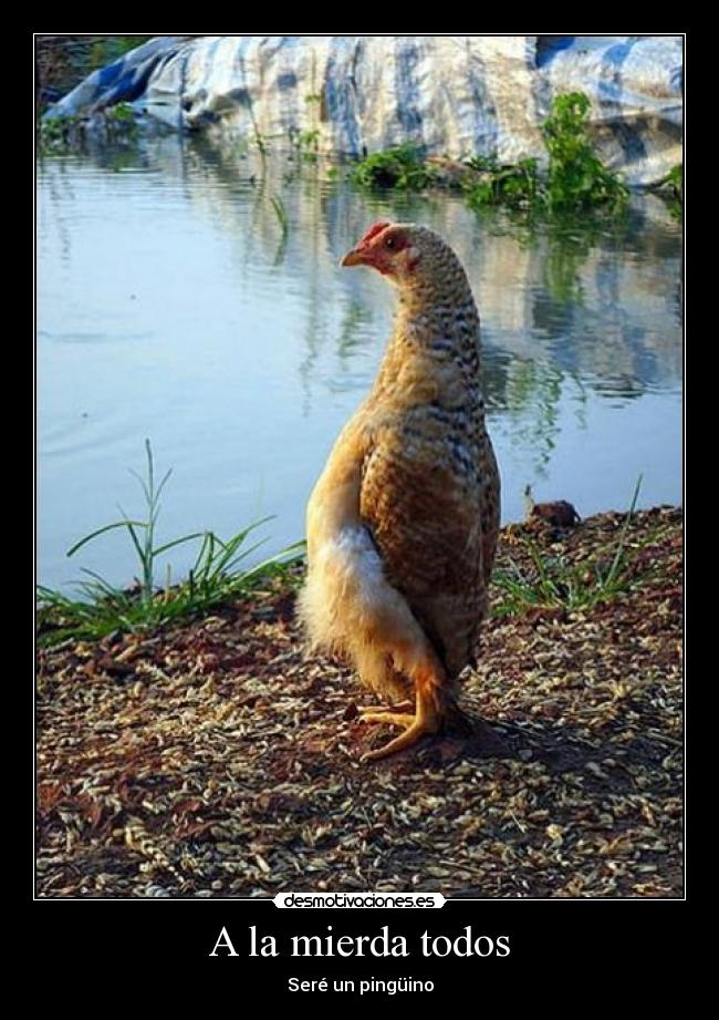 A la mierda todos -