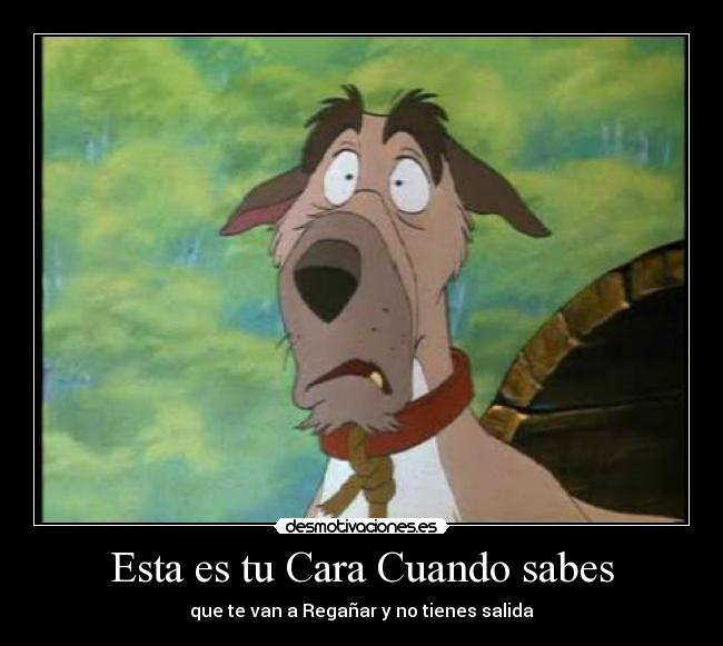 Esta es tu Cara Cuando sabes - 