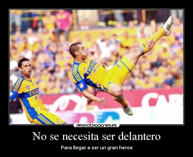 carteles tigres desmotivaciones