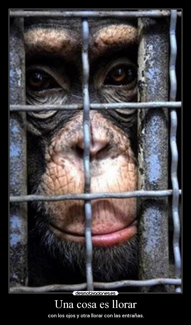 Una cosa es llorar - con los ojos y otra llorar con las entrañas.