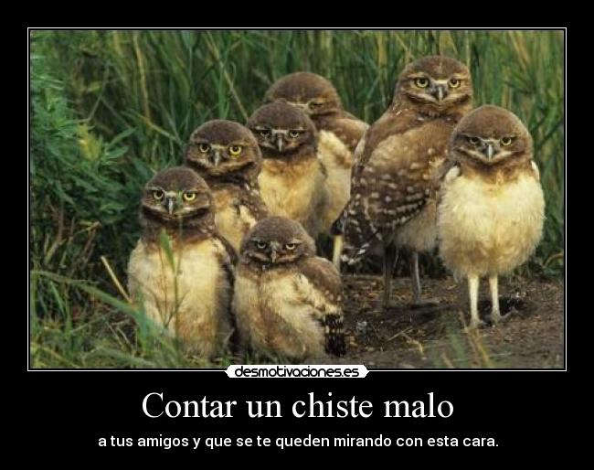 Contar un chiste malo - a tus amigos y que se te queden mirando con esta cara.