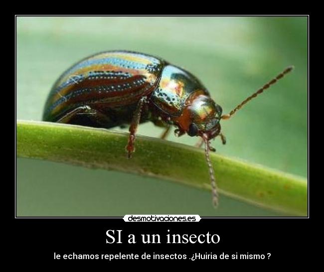 carteles fffffffffffffffffffffffff desmotivaciones