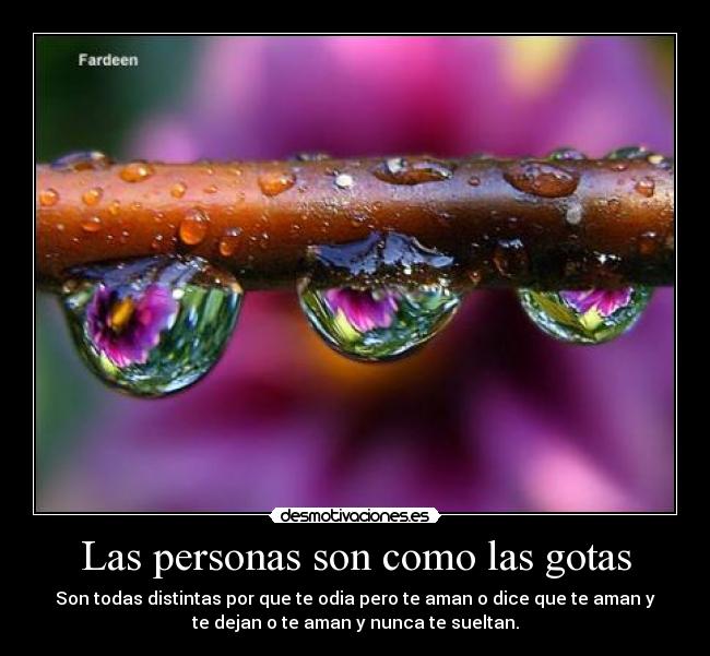 Las personas son como las gotas - Son todas distintas por que te odia pero te aman o dice que te aman y
te dejan o te aman y nunca te sueltan.