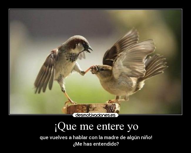 ¡Que me entere yo -