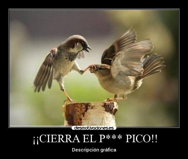 ¡¡CIERRA EL P*** PICO!! - Descripción gráfica