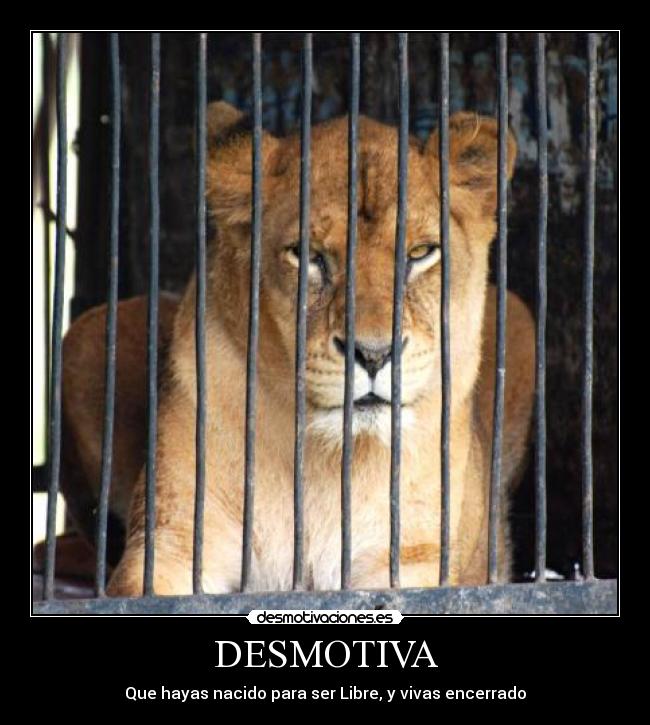 DESMOTIVA - Que hayas nacido para ser Libre, y vivas encerrado