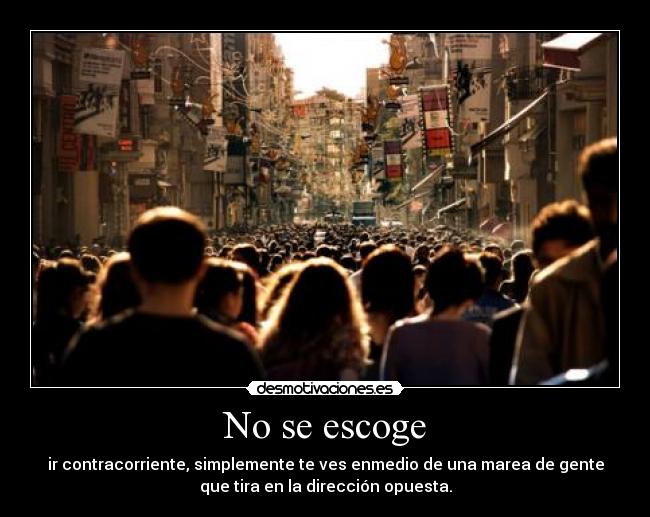 No se escoge - 