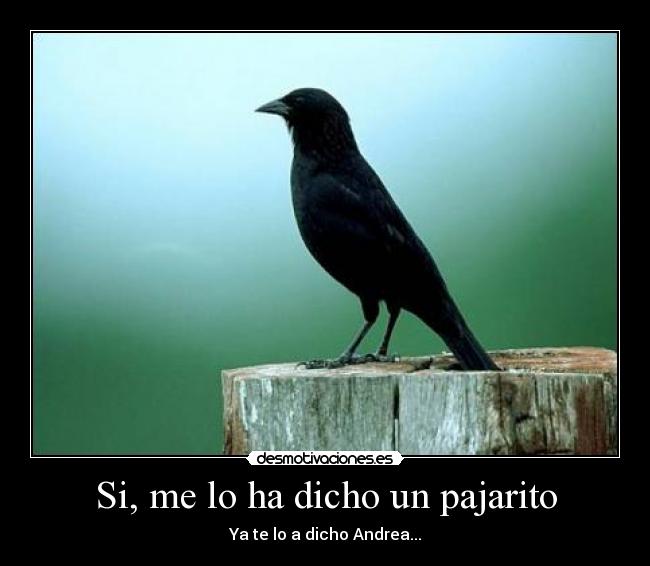 Si, me lo ha dicho un pajarito - Ya te lo a dicho Andrea...