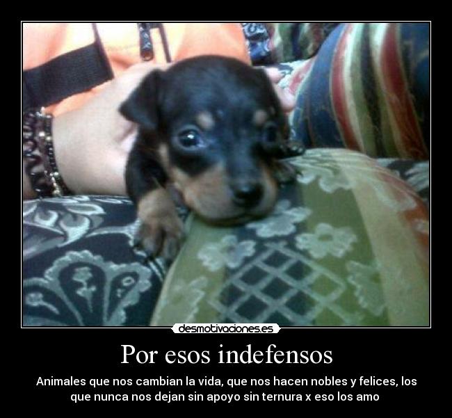 Por esos indefensos -