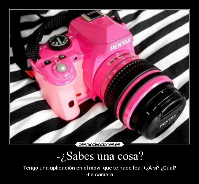 -¿Sabes una cosa? - 