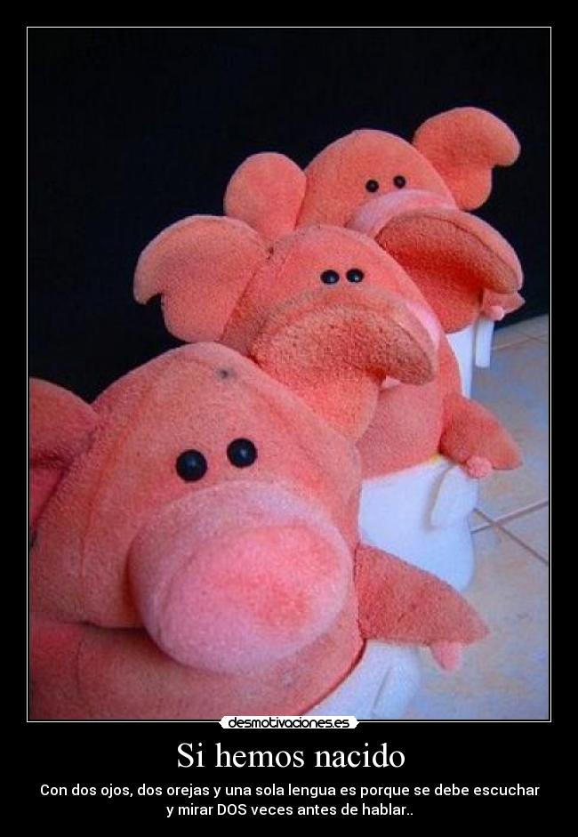 Si hemos nacido - Con dos ojos, dos orejas y una sola lengua es porque se debe escuchar
y mirar DOS veces antes de hablar..