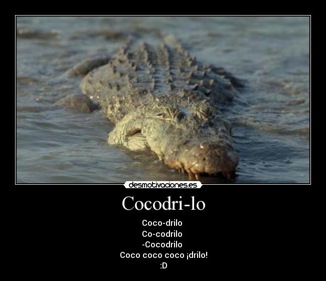 Cocodri-lo -