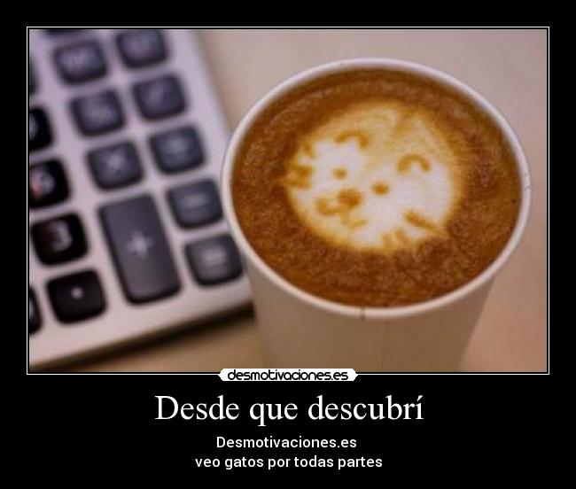 Desde que descubrí - Desmotivaciones.es 
veo gatos por todas partes