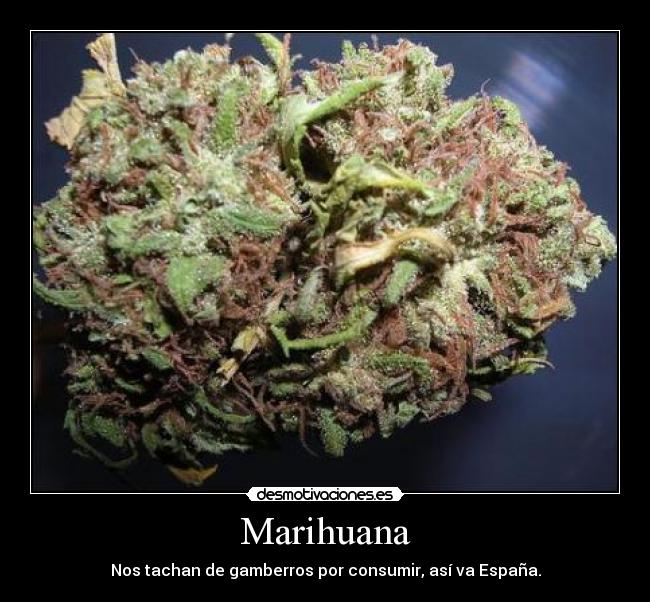 Marihuana - Nos tachan de gamberros por consumir, así va España.