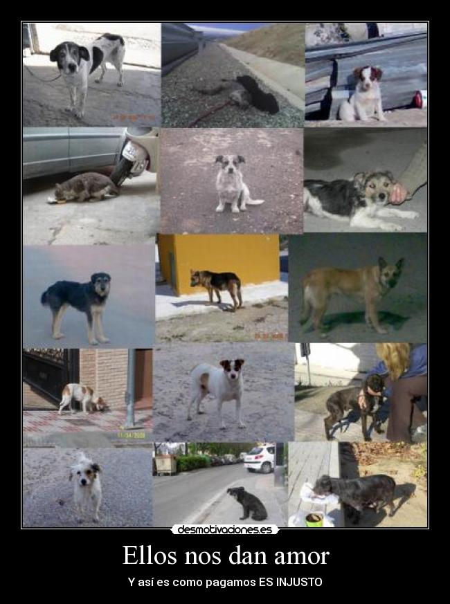 Ellos nos dan amor - Y así es como pagamos ES INJUSTO