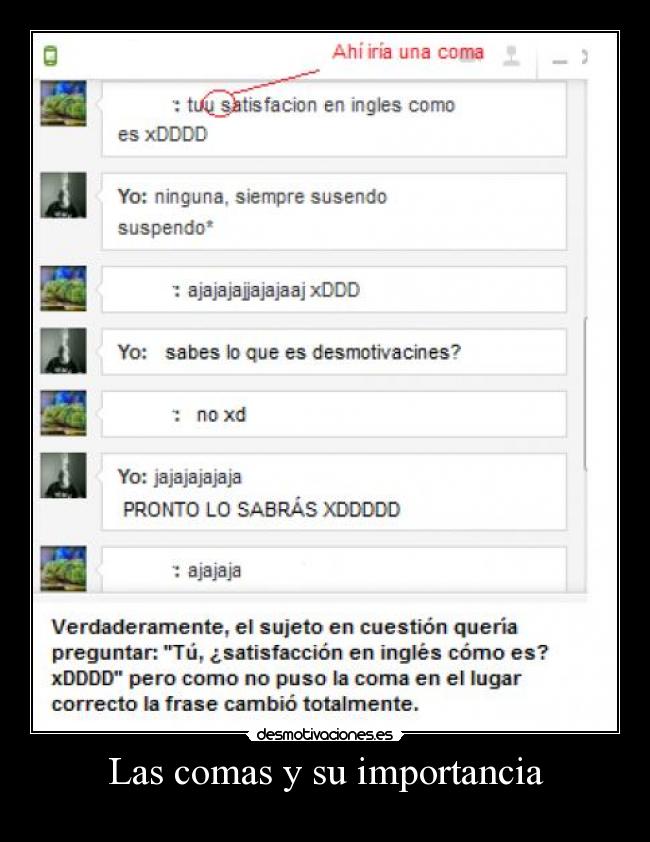 Las comas y su importancia - 