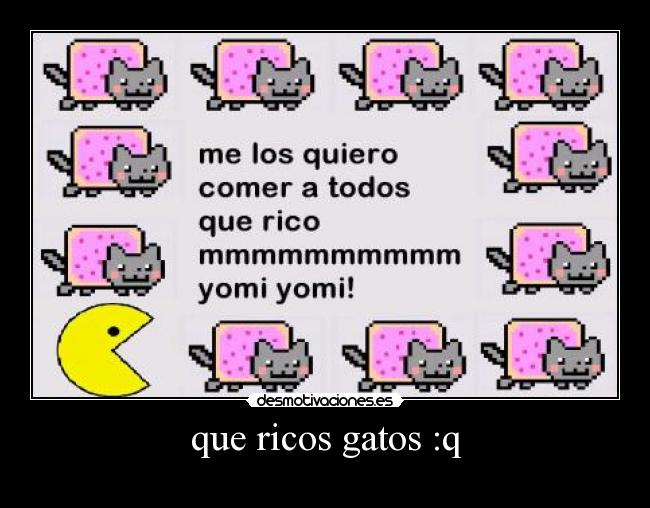 que ricos gatos :q -