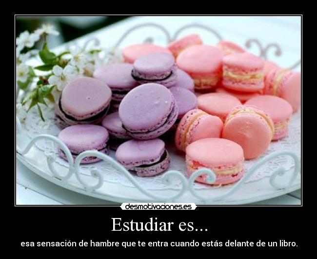 Estudiar es... - esa sensación de hambre que te entra cuando estás delante de un libro.