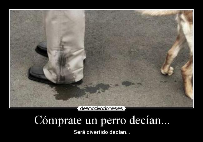 Cómprate un perro decían... -