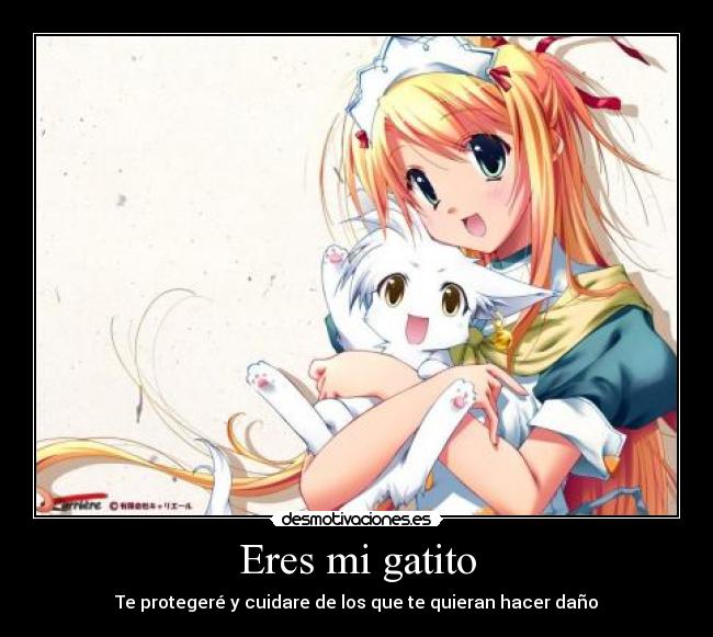 Eres mi gatito - 