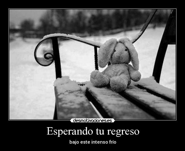 Esperando tu regreso - bajo este intenso frío