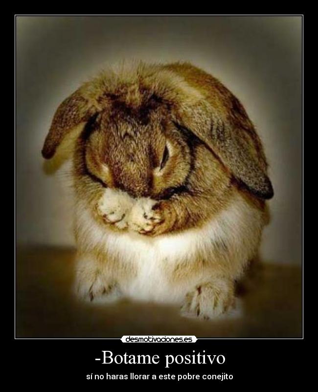 -Botame positivo - sí no haras llorar a este pobre conejito