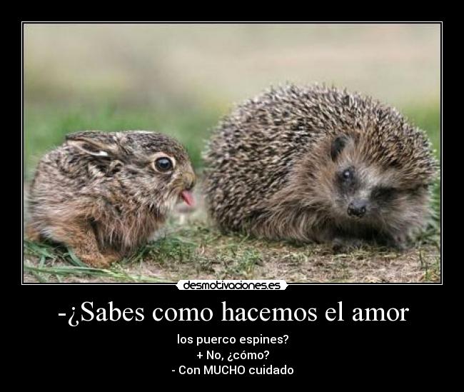 -¿Sabes como hacemos el amor - 
