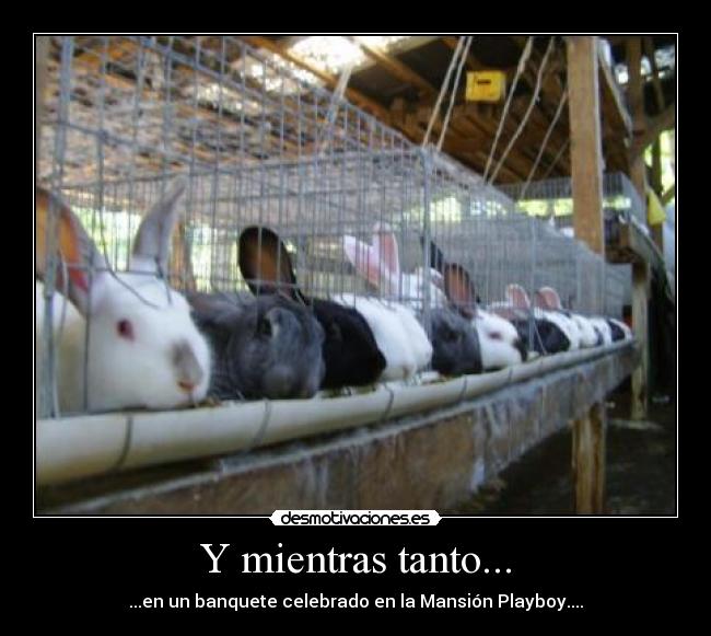 Y mientras tanto... -