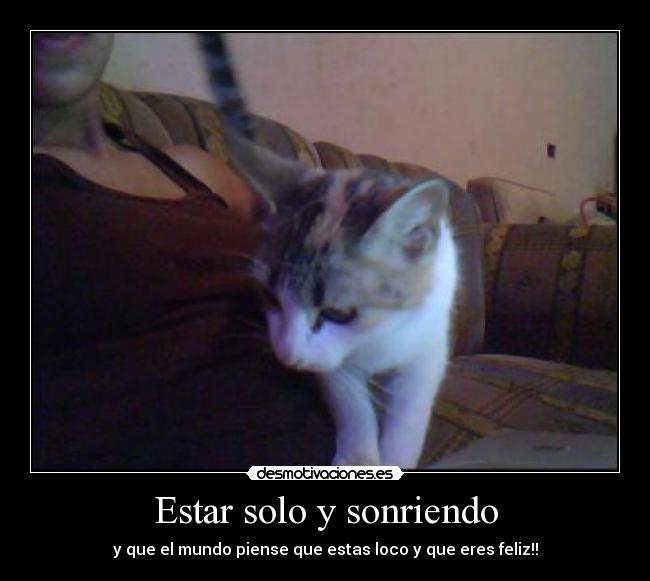 carteles siriam zelaya desmotivaciones