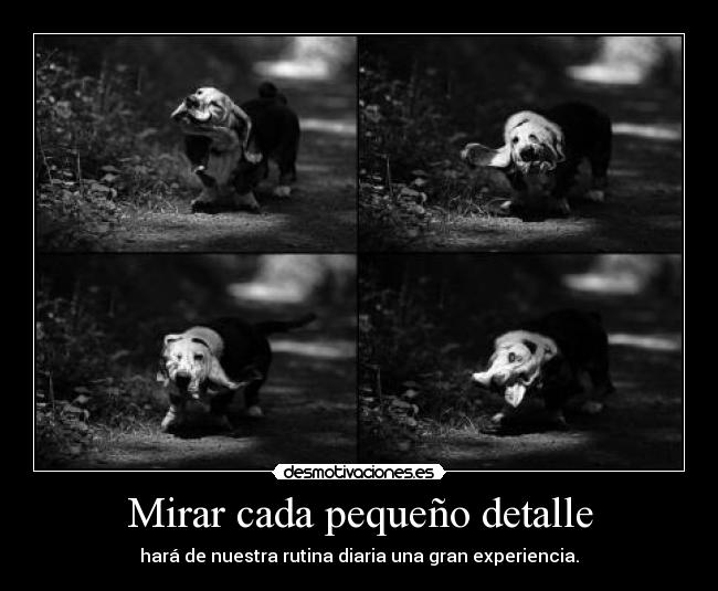 carteles miro con lentitud con genialidad mes esta por acabar sigo aca desmotivaciones