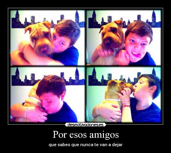 Por esos amigos -