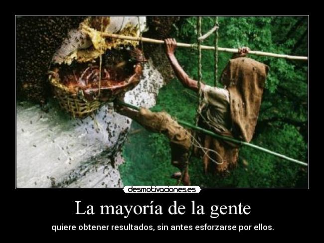 carteles cdg hatecrowd que distingue sabio del necio que necio pregunta que sabe lol desmotivaciones