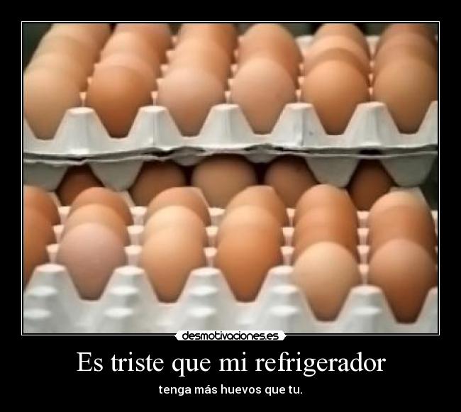 Es triste que mi refrigerador -