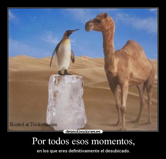 Por todos esos momentos, - en los que eres definitivamente el desubicado.